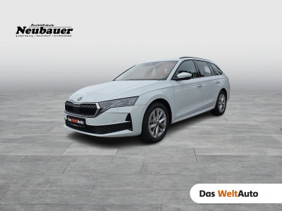 Skoda Octavia Gebrauchtwagen Skoda Octavia Gebrauchtwagen