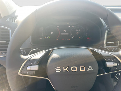 Skoda Karoq Gebrauchtwagen Skoda Karoq Gebrauchtwagen