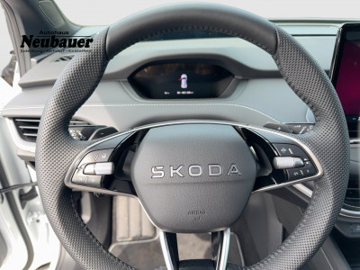 Skoda Enyaq Gebrauchtwagen Skoda Enyaq Gebrauchtwagen