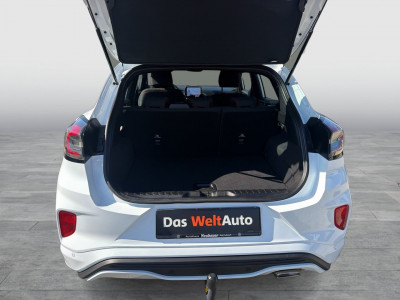 Ford Puma Gebrauchtwagen Ford Puma Gebrauchtwagen