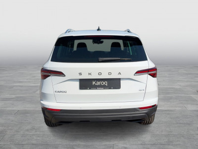 Skoda Karoq Gebrauchtwagen Skoda Karoq Gebrauchtwagen