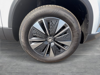 Skoda Karoq Gebrauchtwagen Skoda Karoq Gebrauchtwagen