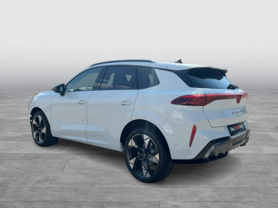 Cupra Terramar Gebrauchtwagen Cupra Terramar Gebrauchtwagen