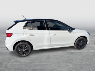 Skoda Fabia Gebrauchtwagen Skoda Fabia Gebrauchtwagen