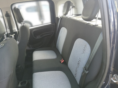 Fiat Panda Gebrauchtwagen