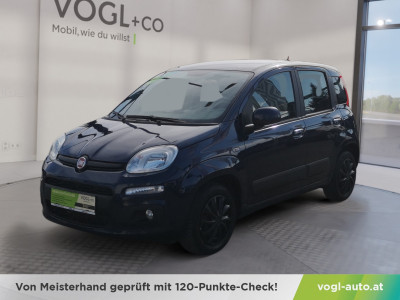 Fiat Panda Gebrauchtwagen