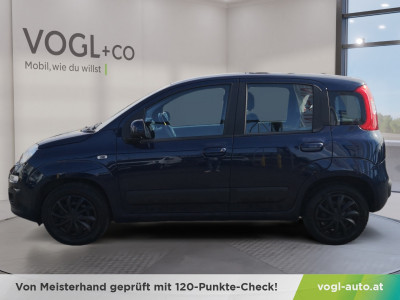 Fiat Panda Gebrauchtwagen