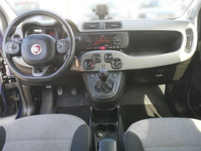 Fiat Panda Gebrauchtwagen