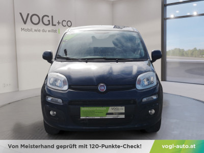 Fiat Panda Gebrauchtwagen