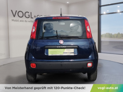 Fiat Panda Gebrauchtwagen