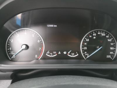 Ford EcoSport Gebrauchtwagen