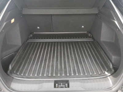 Renault Arkana Gebrauchtwagen