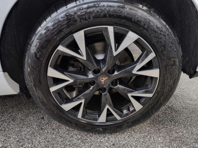 Cupra Terramar Gebrauchtwagen Cupra Terramar Gebrauchtwagen