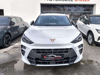 Cupra Terramar Gebrauchtwagen Cupra Terramar Gebrauchtwagen