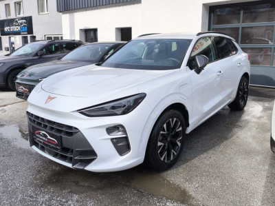 Cupra Terramar Gebrauchtwagen Cupra Terramar Gebrauchtwagen