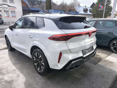 Cupra Terramar Gebrauchtwagen Cupra Terramar Gebrauchtwagen