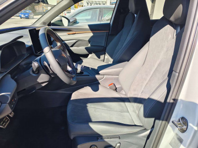 Cupra Terramar Gebrauchtwagen