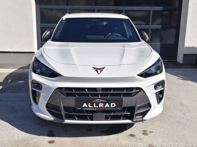 Cupra Terramar Gebrauchtwagen