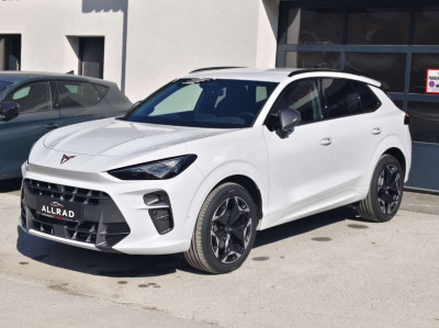 Cupra Terramar Gebrauchtwagen