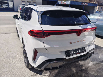 Cupra Terramar Gebrauchtwagen