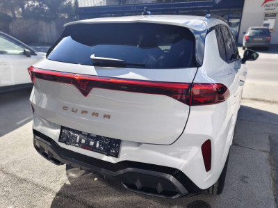 Cupra Terramar Gebrauchtwagen