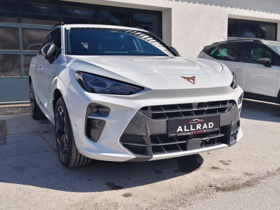 Cupra Terramar Gebrauchtwagen