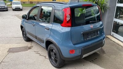 Fiat Panda Neuwagen