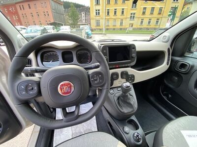 Fiat Panda Tageszulassung