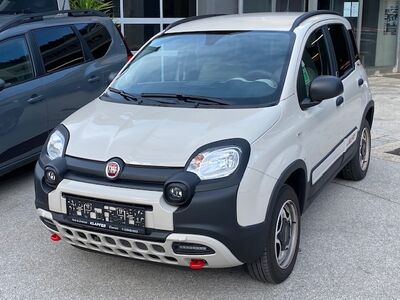 Fiat Panda Tageszulassung