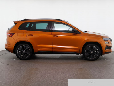 Skoda Karoq Gebrauchtwagen