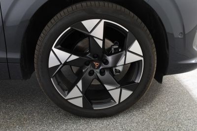 Cupra Terramar Gebrauchtwagen