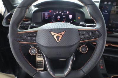 Cupra Terramar Gebrauchtwagen