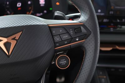 Cupra Terramar Gebrauchtwagen