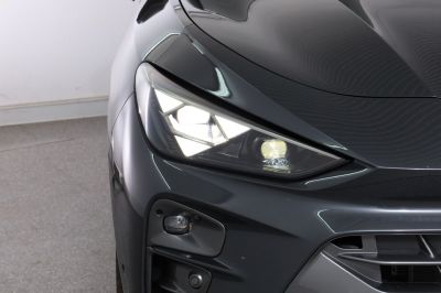 Cupra Terramar Gebrauchtwagen