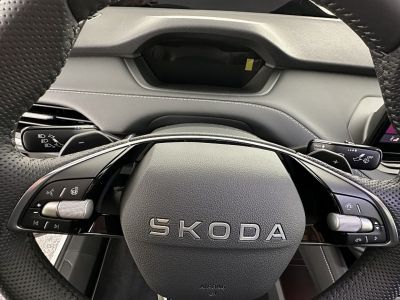 Skoda Enyaq Gebrauchtwagen