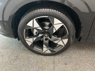 Cupra Terramar Gebrauchtwagen