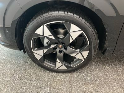 Cupra Terramar Gebrauchtwagen