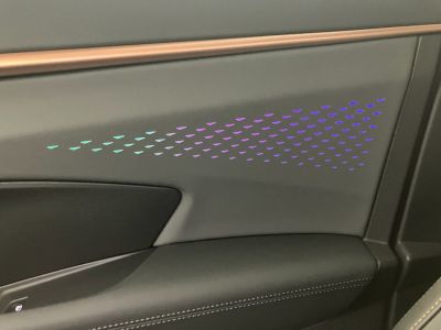 Cupra Terramar Gebrauchtwagen