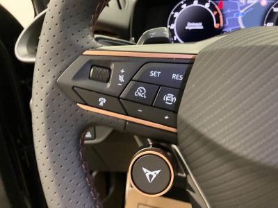 Cupra Terramar Gebrauchtwagen