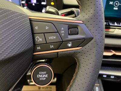 Cupra Terramar Gebrauchtwagen