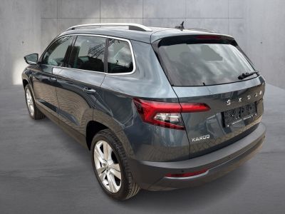 Skoda Karoq Gebrauchtwagen