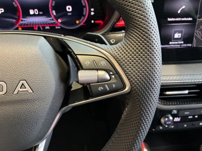 Skoda Fabia Gebrauchtwagen Skoda Fabia Gebrauchtwagen