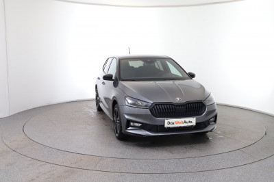 Skoda Fabia Gebrauchtwagen Skoda Fabia Gebrauchtwagen