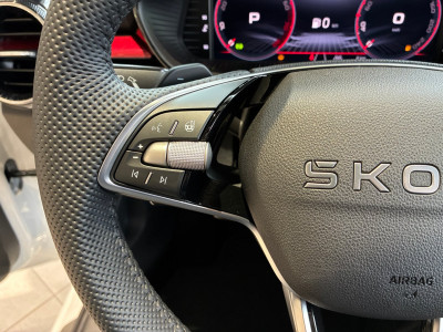 Skoda Fabia Gebrauchtwagen Skoda Fabia Gebrauchtwagen