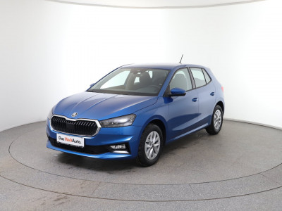 Skoda Fabia Gebrauchtwagen Skoda Fabia Gebrauchtwagen