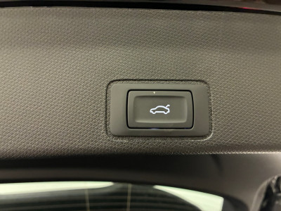 Cupra Terramar Gebrauchtwagen