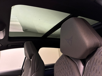 Cupra Terramar Gebrauchtwagen