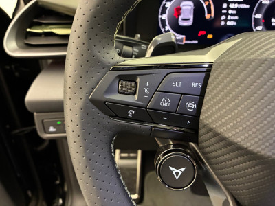 Cupra Terramar Gebrauchtwagen