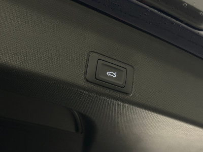 Cupra Terramar Gebrauchtwagen