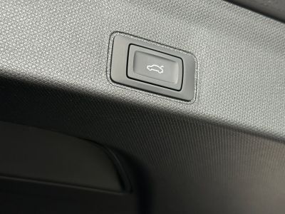 Cupra Terramar Gebrauchtwagen